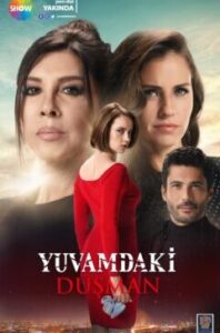 Враг в моем доме