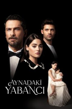 Незнакомец в зеркале