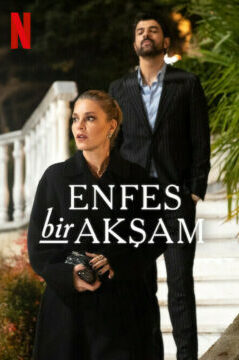 Восхитительный вечер